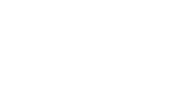 Wizard guitars