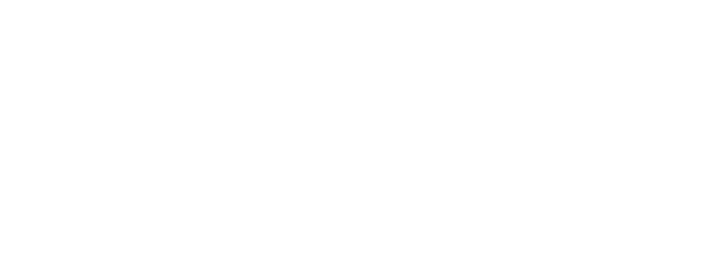 wizard custom shop  hobo