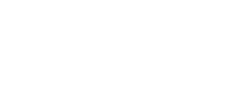 wizard custom shop