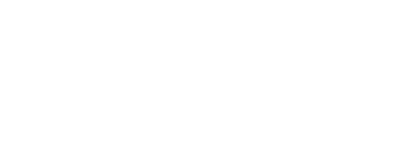 wizard Guitars Origin