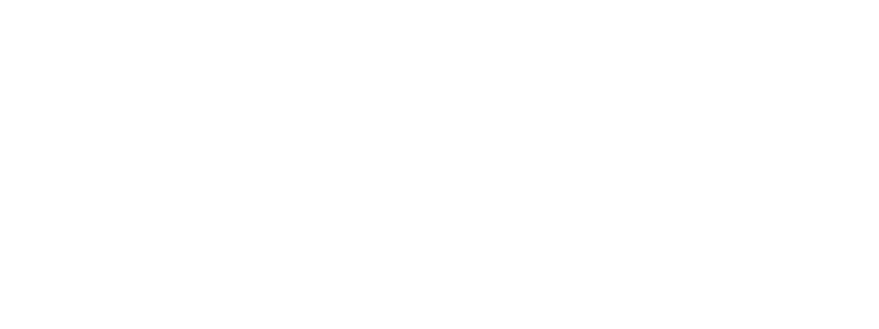 ukulele-baryton